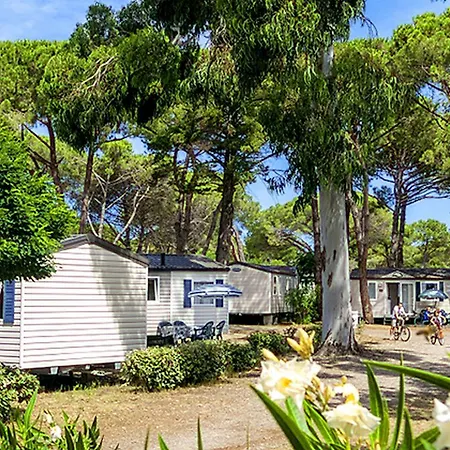 Campsite Domaine Residentiel De Plein Air Le Domaine D'anghione Castellare-di-Casinca